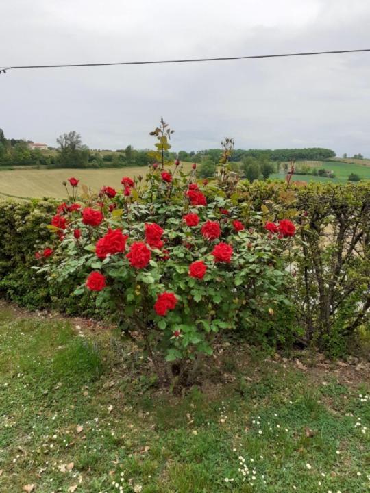 Gite De La Cheneraie Montpezat-de-Quercy 外观 照片