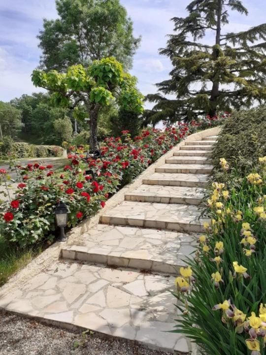 Gite De La Cheneraie Montpezat-de-Quercy 外观 照片